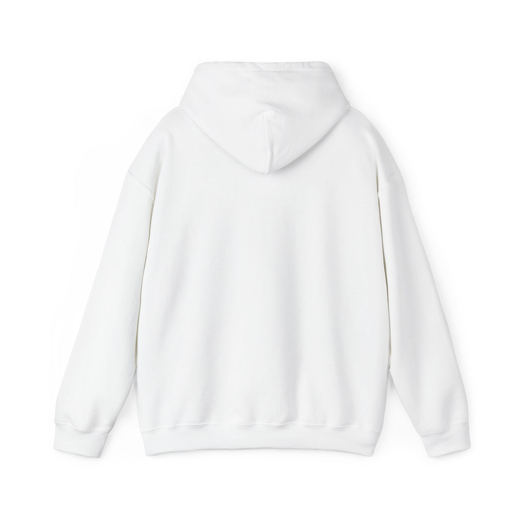 Black hoodie featuring WyldeHaven Apparel Est. 2026 monogram circle logo on the front, casual sweatshirt with a comfortable fit.